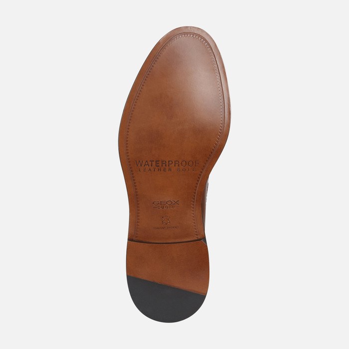 Loafersy Męskie Geox Artenova Cognac | 14HAWXVKG